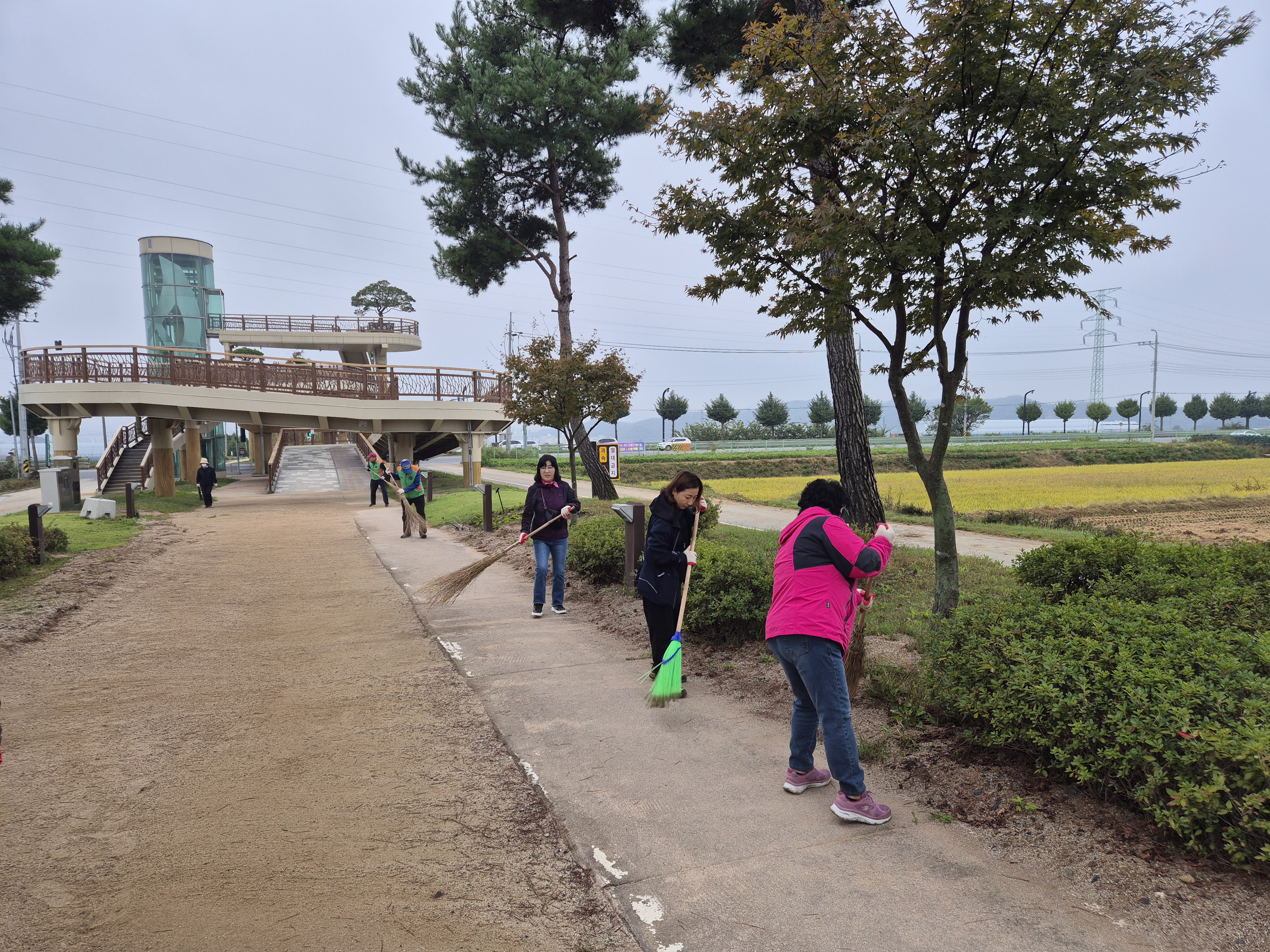 의림지동 자율방재단 삼한의초록길 환경정화 활동