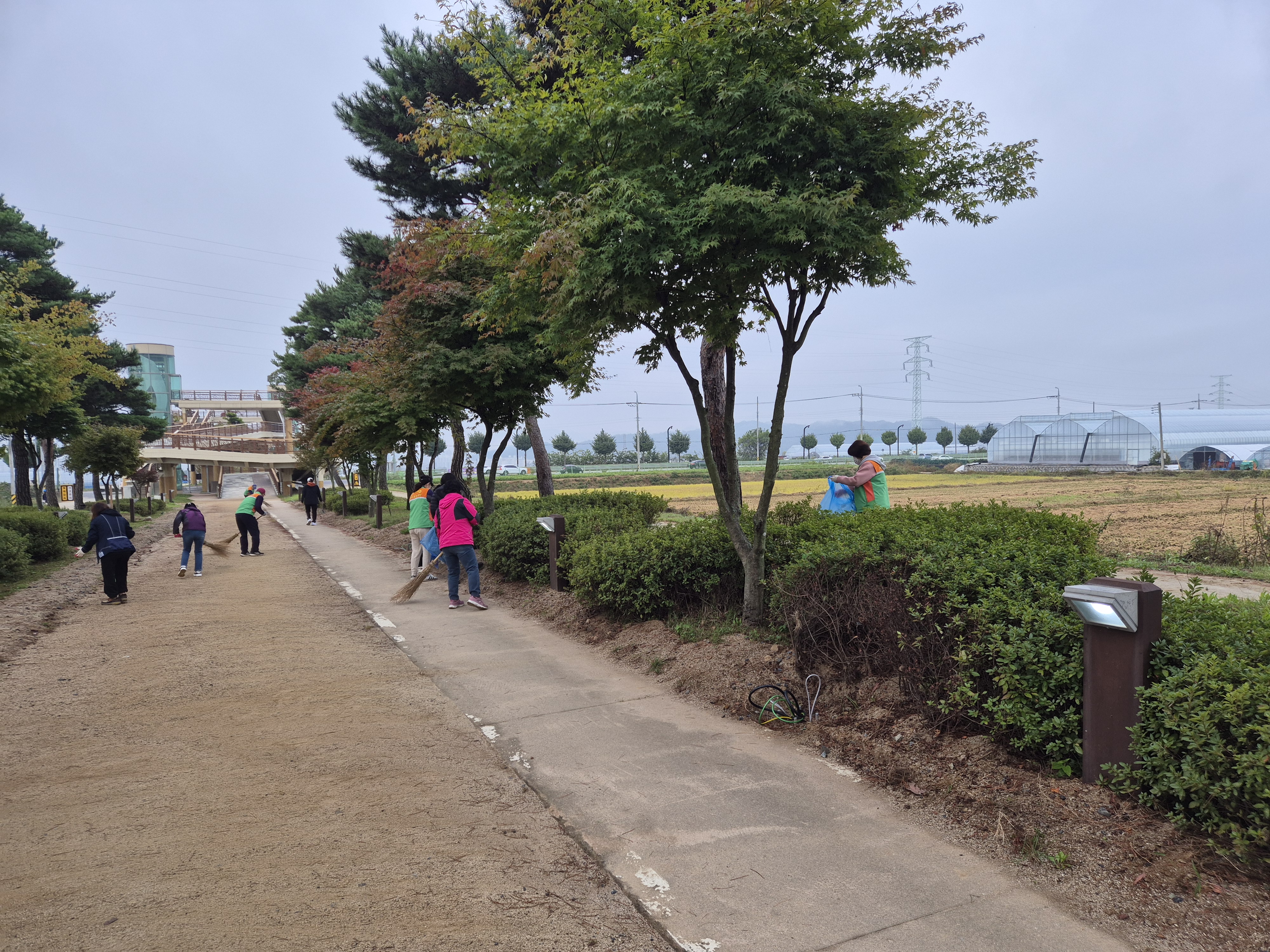 의림지동 자율방재단 삼한의초록길 환경정화 활동 이미지 2