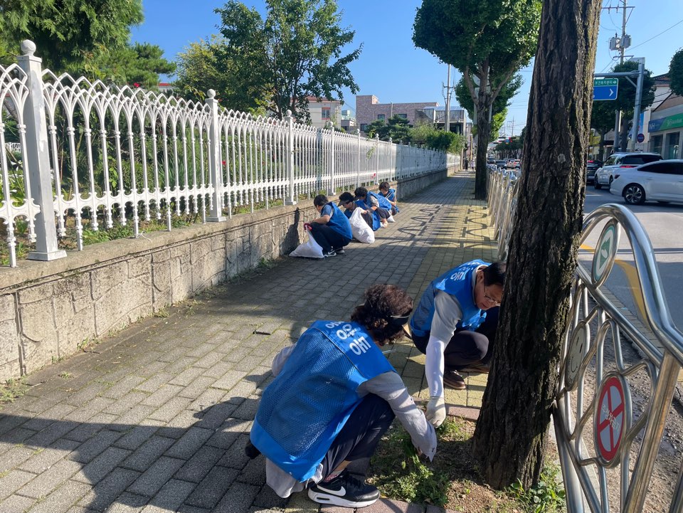 중앙동 직능단체 중앙동 일대 환경정화활동 실시 이미지 2