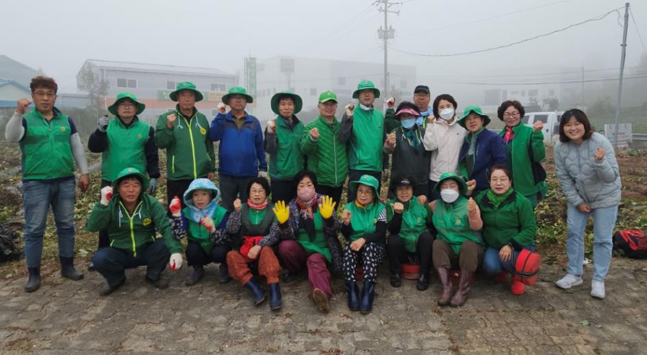 [10.13.(일)] 화산동새마을남녀지도자협의회 고구마 수확 활동